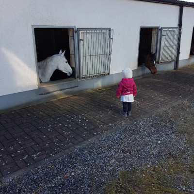 Besuch bei....
